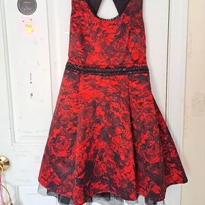 Princess Vera Wang dress.
